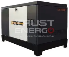 Газовый генератор Genese Pro 17000 Neva кожухе В кожухе Subaru EH99 trustenergo.ru