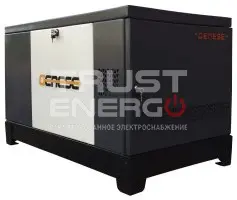 Газовый генератор Genese Standard 14000T Neva кожухе с АВР В кожухе  2G99 trustenergo.ru