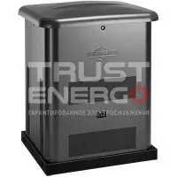 Газовый генератор Briggs & Stratton G60